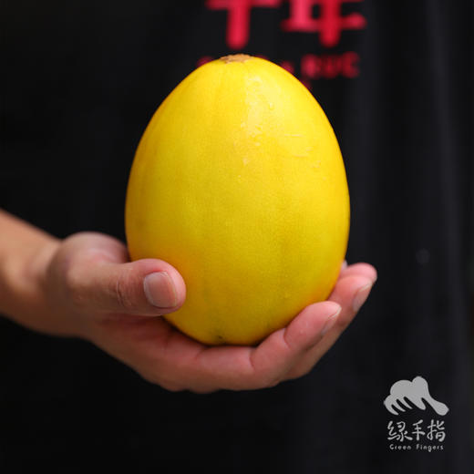 生态桂蜜甜瓜（8.5折；广州基地一件发货） | 绿家自产* Ecological melon | Self-production 商品图3