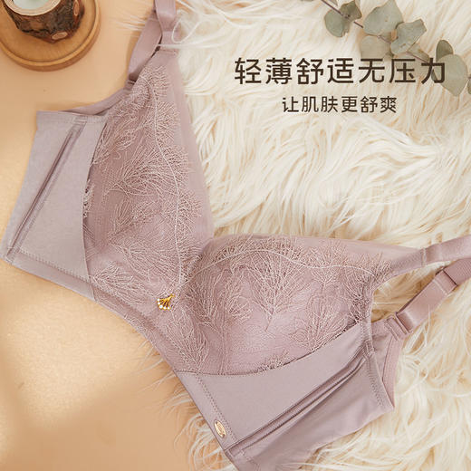 皇家丽美舒适柔软无钢圈内衣女小胸显大聚拢调整型收副乳文胸WW086-3 商品图5