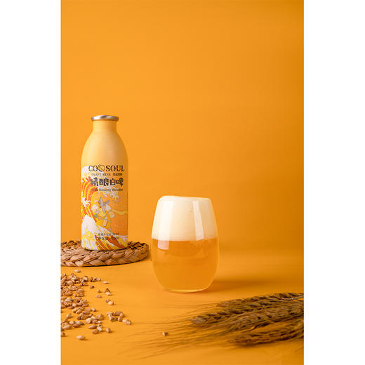 【德式白啤】460ml*6支 COOSOUL酷鼠精酿系列 商品图10