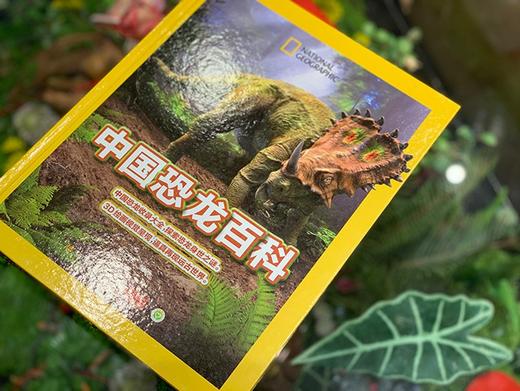 (仓发) 中国恐龙百科/江苏凤凰美术出版社/邢立达/9787558078729 商品图2