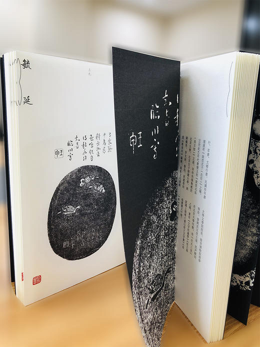 (仓发) 砚影——启功拓集/北京师范大学出版社/9787303251414 商品图6