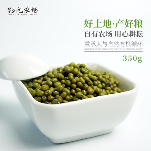 丨有机丨绿豆2袋 350g/包 商品图2