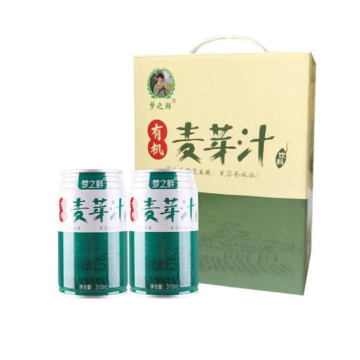 梦之鲜麦芽汁健康氨基酸饮料自然甜有机绿色维生素饮品310ml*12罐 商品图5