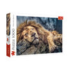 TREFL 平面拼图1000片沉睡的雄狮TREC10447 商品缩略图0