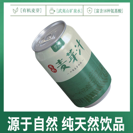 梦之鲜麦芽汁健康氨基酸饮料自然甜有机绿色维生素饮品310ml*12罐 商品图1