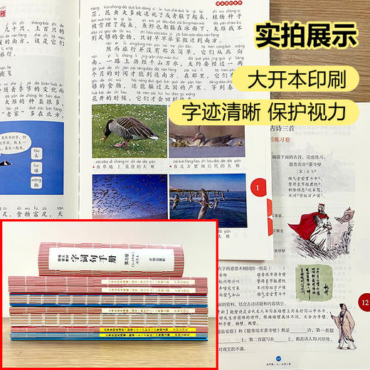 【2022年版秋季上册套装】小学生语文《绘本课堂》（六三制&五四制）1-6年级 商品图5