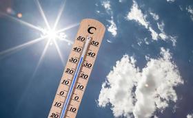  热浪来袭，夏季该如何对抗脱发？ 