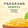 【下单3袋21元】金龙鱼原味豆浆粉210g*1袋 商品缩略图2