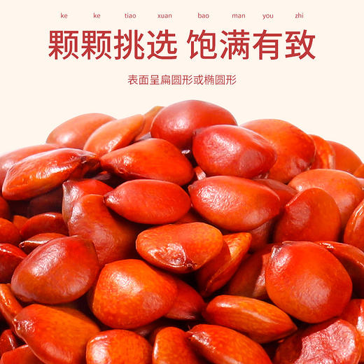 炒制过的河北野生酸枣仁 100g/瓶 商品图1