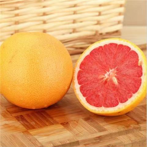 南非红西柚（个） 商品图0