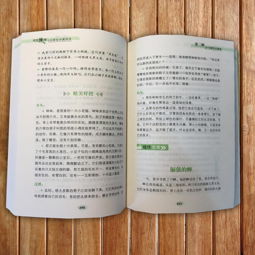 (仓发) 巧克力作文 作文搜库小学生分类作文 写好作文六大技法 搜读背三位一体作文新理念/山东教育出版社/9787532898442 商品图2