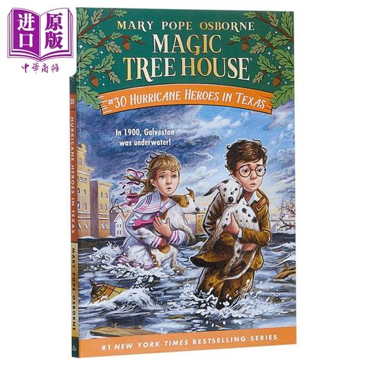 【中商原版】神奇树屋第一季31册合集 Magic Tree House 1-31 儿童文学 故事科普小说图画书 章节书 英文原版 进口图书 商品图2