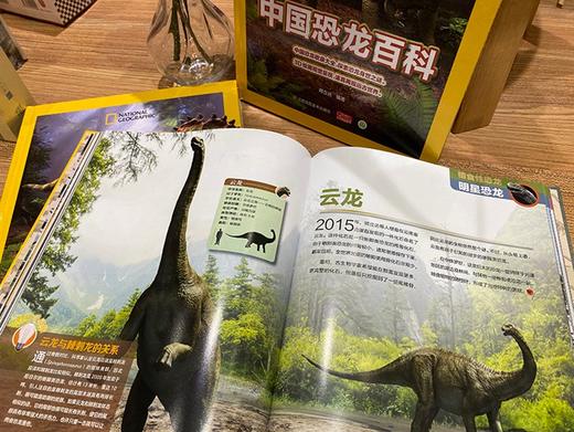 (仓发) 中国恐龙百科/江苏凤凰美术出版社/邢立达/9787558078729 商品图6