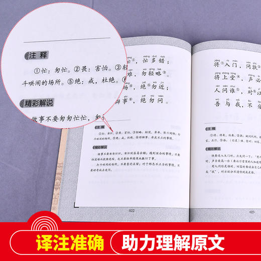 (仓发) 笠翁对韵 注音版 大字大开本 国学启蒙 国学诵中华传统文化经典读本 一二三年级必读课外书 扫码名家音频诵读/北京教育出版社/9787552255676 商品图5