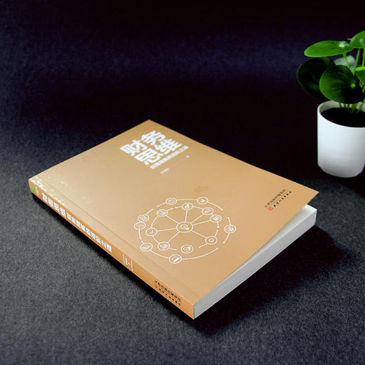 (仓发) 财务思维：财务精英的进阶之道 财务管理书籍/天津人民出版社/任成枢/9787201162768 商品图5