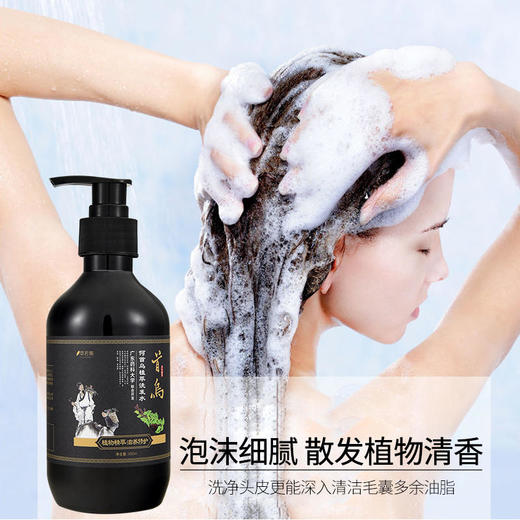 广东药科大学何首乌植物萃取洗发露，多味草本精华，天然无刺激，清爽控油，改善毛躁洗发水 商品图2