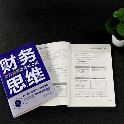 (仓发) 财务思维：财务精英的进阶之道 财务管理书籍/天津人民出版社/任成枢/9787201162768 商品图4