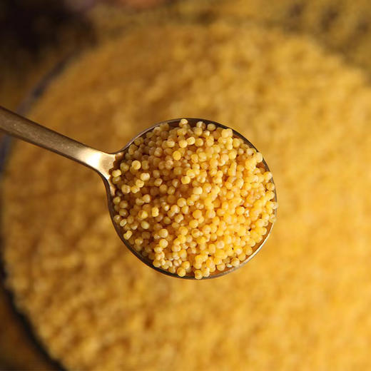 陕西有机种植小米 商品图3