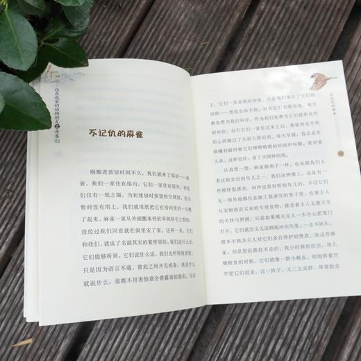 (仓发) 住在我家的动物朋友之房客们/华东师范大学出版社/韩开春/9787576006728 商品图4