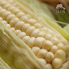 生态白糯玉米 | 合作生产* Ecological Waxy Corn | Coproduction 商品缩略图3