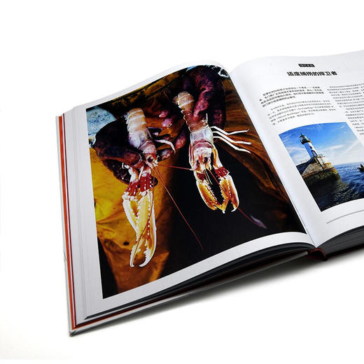 米其林寻味指南 美食观察员的评星笔记 菲利普·图瓦纳德 编 美食 商品图1