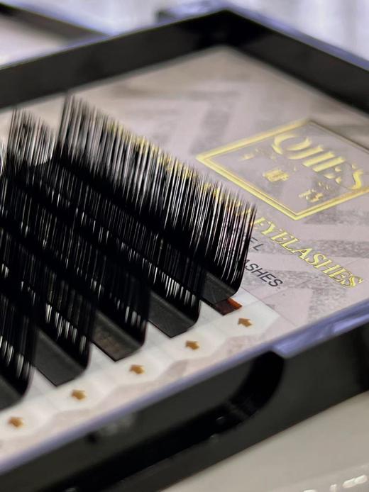 【秒杀价】L型广角天鹅绒多取睫毛 商品图2