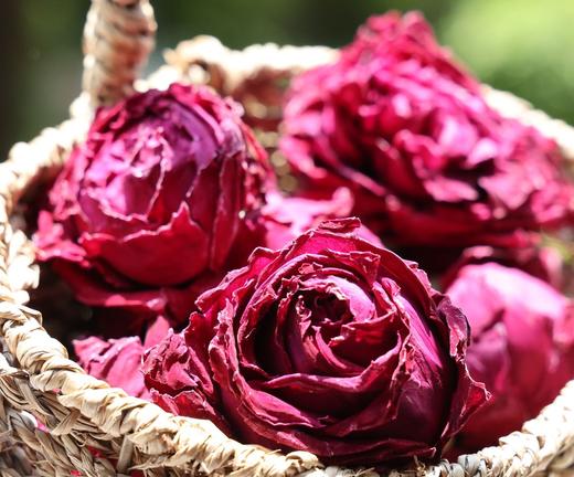 云南大理头水墨红玫瑰 整朵玫瑰 -41℃全冻干花  春日集采 花香浓郁 商品图4