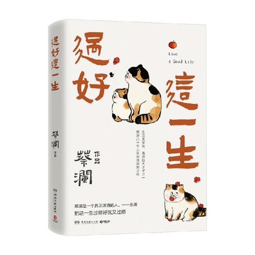 过好这一生 蔡澜 著 生活美学家 蔡澜八十年人生智慧集结之作 把这一生过得好玩过瘾 商品图3