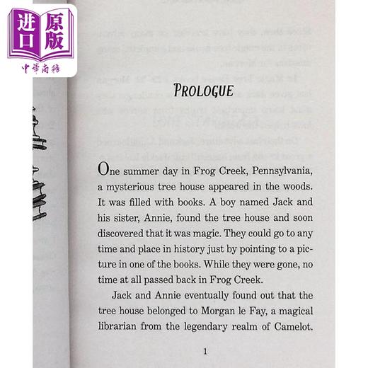 【中商原版】神奇树屋第一季31册合集 Magic Tree House 1-31 儿童文学 故事科普小说图画书 章节书 英文原版 进口图书 商品图5