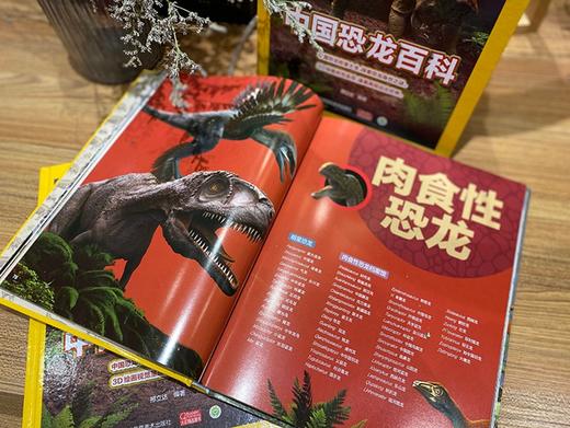 (仓发) 中国恐龙百科/江苏凤凰美术出版社/邢立达/9787558078729 商品图3