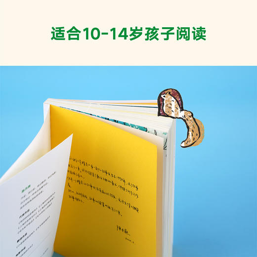 (仓发) 我的妈妈是精灵2：畅销百万册的《我的妈妈是精灵》出续集了！爱与感动的成长小说，陪孩子长大的中国儿童文学经典。/福建少年儿童出版社/果麦文化 出品；陈丹燕/9787539571997 商品图3