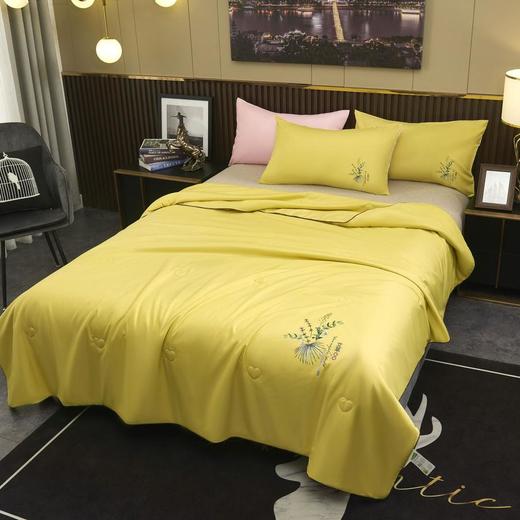 【艾草驱蚊菌刺绣款凉感丝空调被】一床被子=艾草被+驱蚊被+空调被，凉感冰丝面料，可机洗，让你远离空调病，完美裸睡！ 商品图3