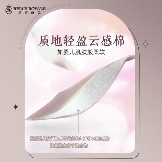 皇家丽美调整型内衣小胸显大文胸性感中厚杯聚拢上托WW065-3 商品图3