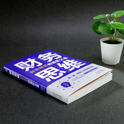 (仓发) 财务思维：财务精英的进阶之道 财务管理书籍/天津人民出版社/任成枢/9787201162768 商品图3