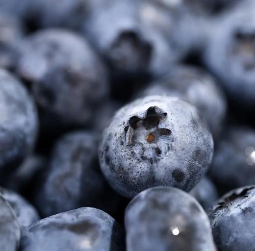 【云南抚仙湖花香蓝莓】 顺丰空运到家 L25花香蓝莓 自然种植 新鲜采摘 商品图6