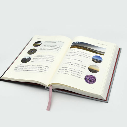 (仓发) 莺语2020/文化发展出版社/叶莺/9787514227581 商品图3