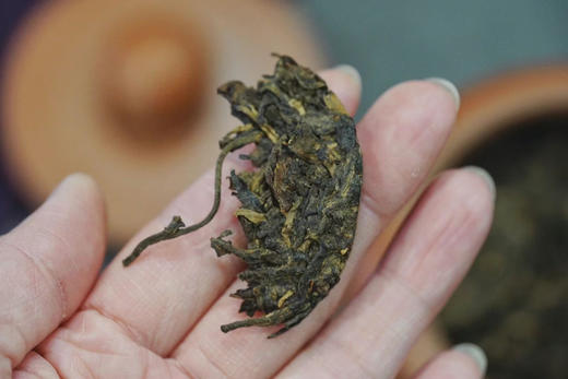 砚宝山房好物推荐｜99年生普 商品图0