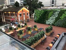 绿植搭配项目-天河百货 凤舞花兮 餐厅