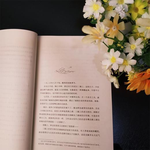 (仓发) 百部红色经典：不尽长江滚滚来（论界公认新中国为数不多的反映大革命时期历史的优秀长篇小说作品之一）/北京联合出版公司/彭慧/9787559652300 商品图6