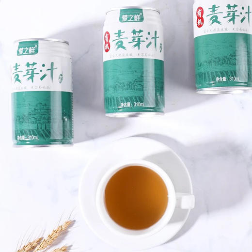 梦之鲜麦芽汁健康氨基酸饮料自然甜有机绿色维生素饮品310ml*12罐 商品图3