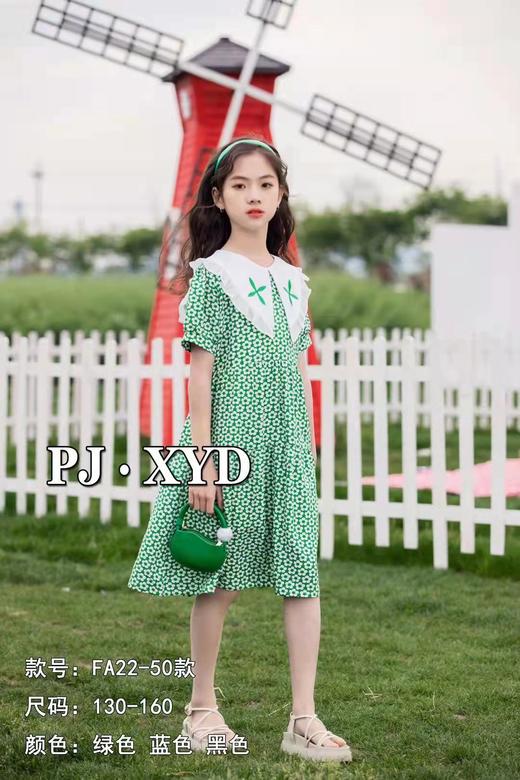 小赢迪连衣裙 02721（3） 商品图0