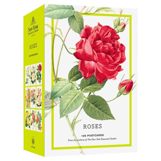 玫瑰 来自纽约植物园档案馆的 100 张明信片 英文原版 Roses 100 Postcards 精美花草插图 英文版 进口英语书籍 商品图1