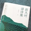 (仓发) 新九叶·译诗集（10位诗人兼一线翻译家·7个语种·13位重量级世界诗人，一本巡礼200年世界诗歌）/广西师范大学出版社/[丹]琵雅·塔夫德鲁普 等/9787559833129 商品缩略图3