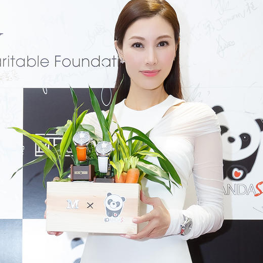 MEMORIGIN万希泉李嘉欣设计陀飞轮慈善腕表真皮镂空熊猫女款手表 商品图4