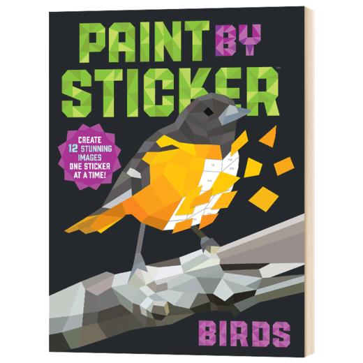 贴图画册 鸟 英文原版 Paint by Sticker Birds 英文版进口原版英语艺术类书籍 商品图1