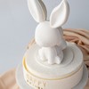 许愿兔 商品缩略图5