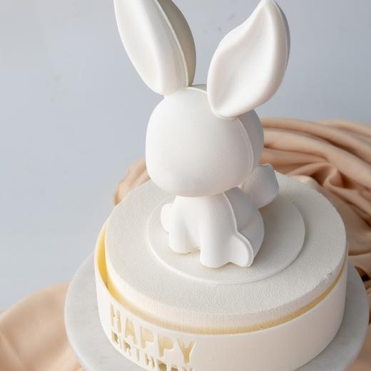 许愿兔 商品图5