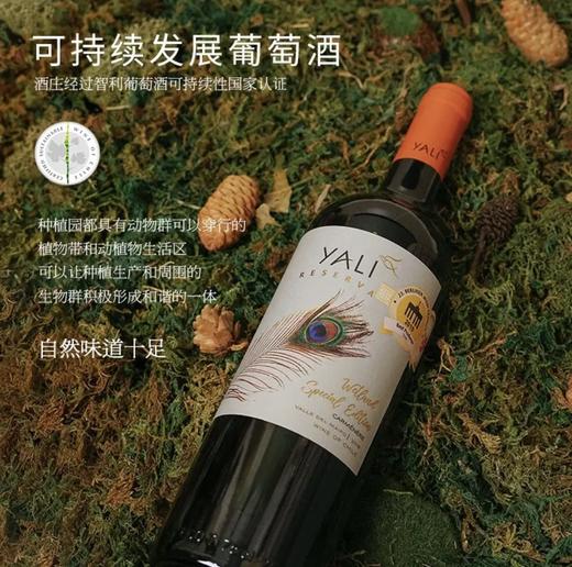 【连续六年智利一级庄】安第斯之翼 佳美娜红葡萄酒 智利中央山谷 商品图1