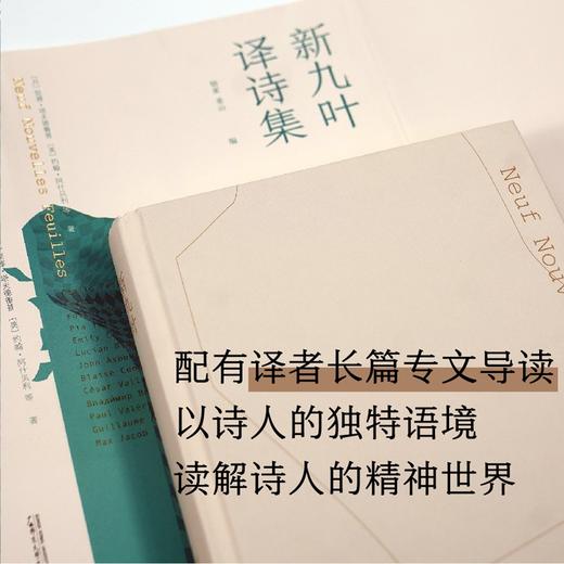 (仓发) 新九叶·译诗集（10位诗人兼一线翻译家·7个语种·13位重量级世界诗人，一本巡礼200年世界诗歌）/广西师范大学出版社/[丹]琵雅·塔夫德鲁普 等/9787559833129 商品图1