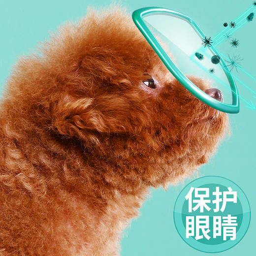 道力其眼部湿巾\耳部湿巾200片 加量升级款 温和清洁 淡化泪痕  犬猫通用 商品图3